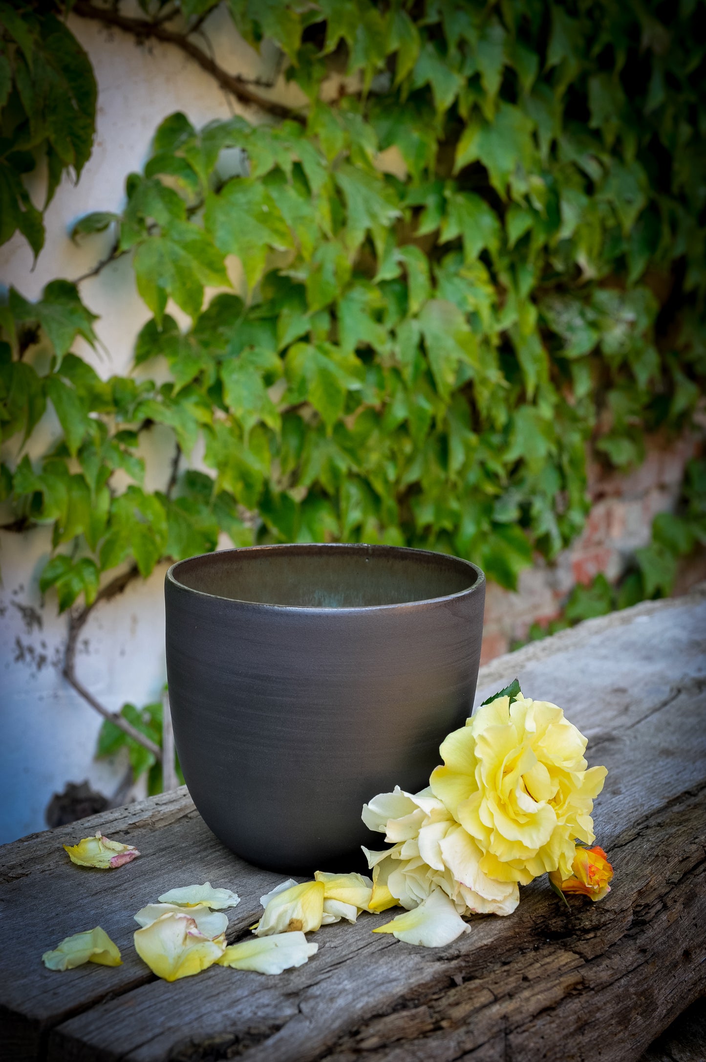 Cache-pot Nigra