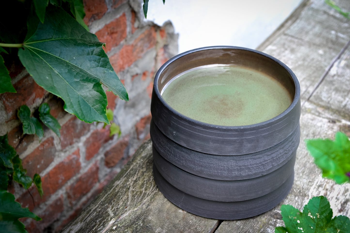 Schaal Nigra groen ø17/4